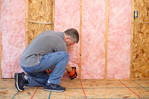 Best Geographic-Specific Insulation Services in North Canton, OH